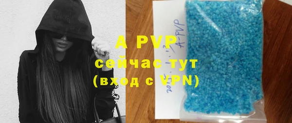 винт Арсеньев