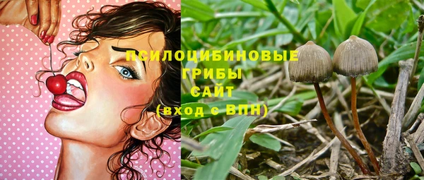 винт Арсеньев
